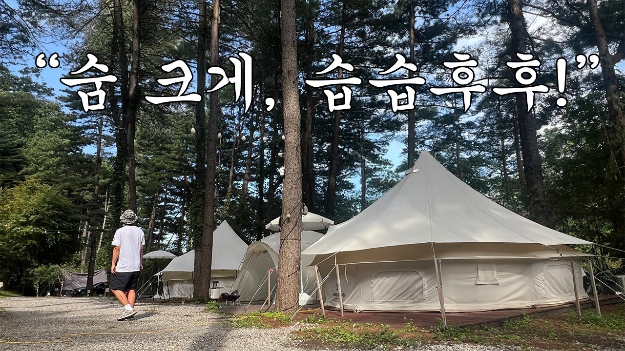 숲속에서 즐기는 가을캠핑, 가평 리틀포레스트 캠핑장🏕️ 캠핑 브이로그