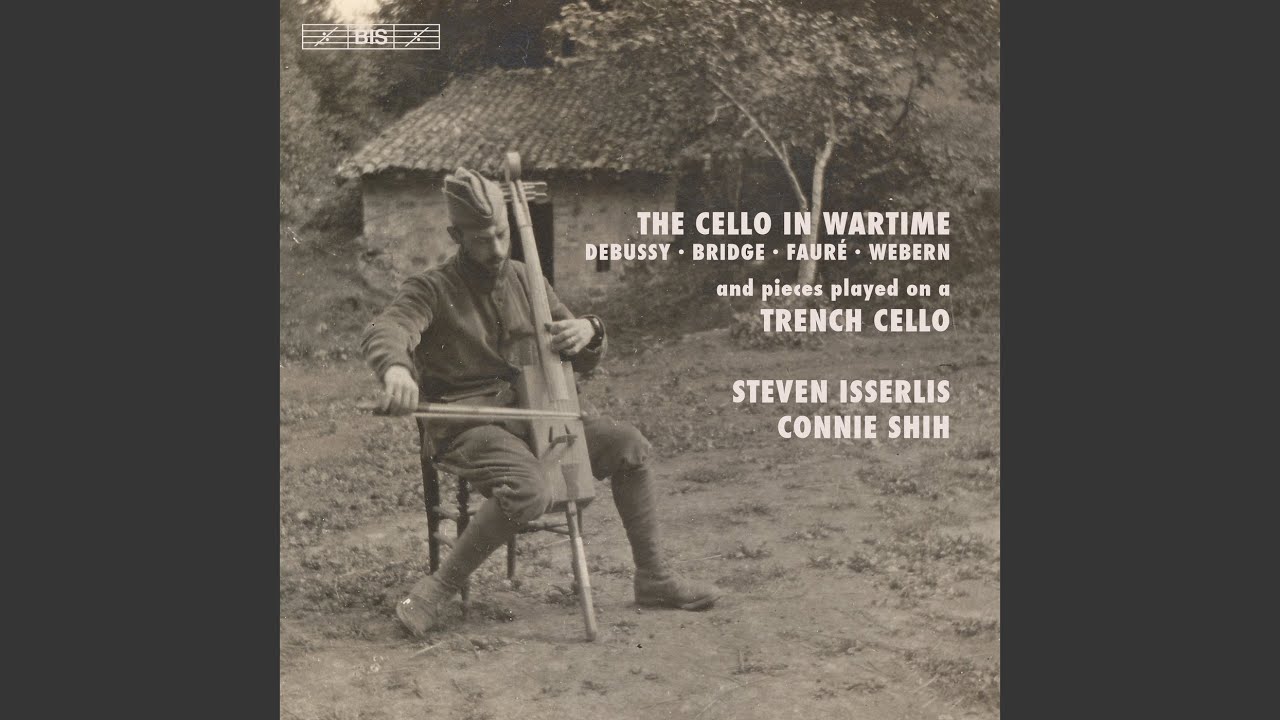 Cello Sonata No. 1 in D Minor, Op. 109: I. Allegro
