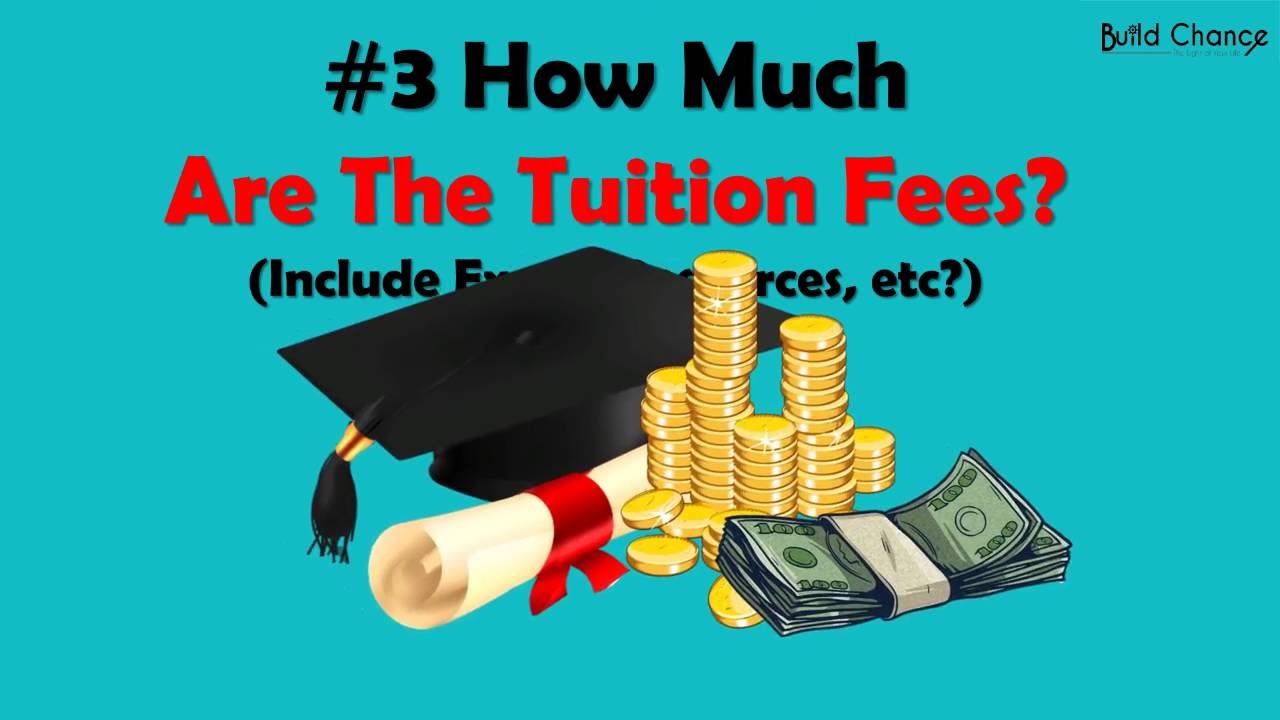 15 Questions You Should Ask At Education Fair