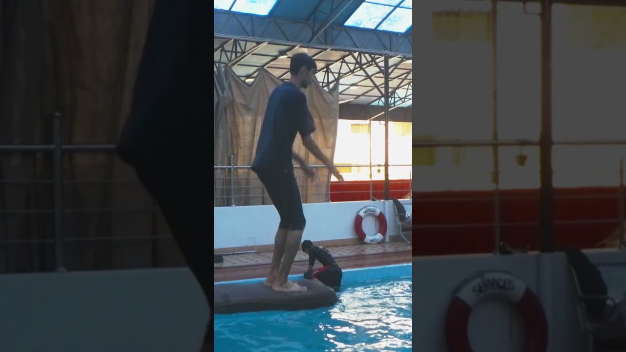 Spring Board 1 meter  | Platform Diving  