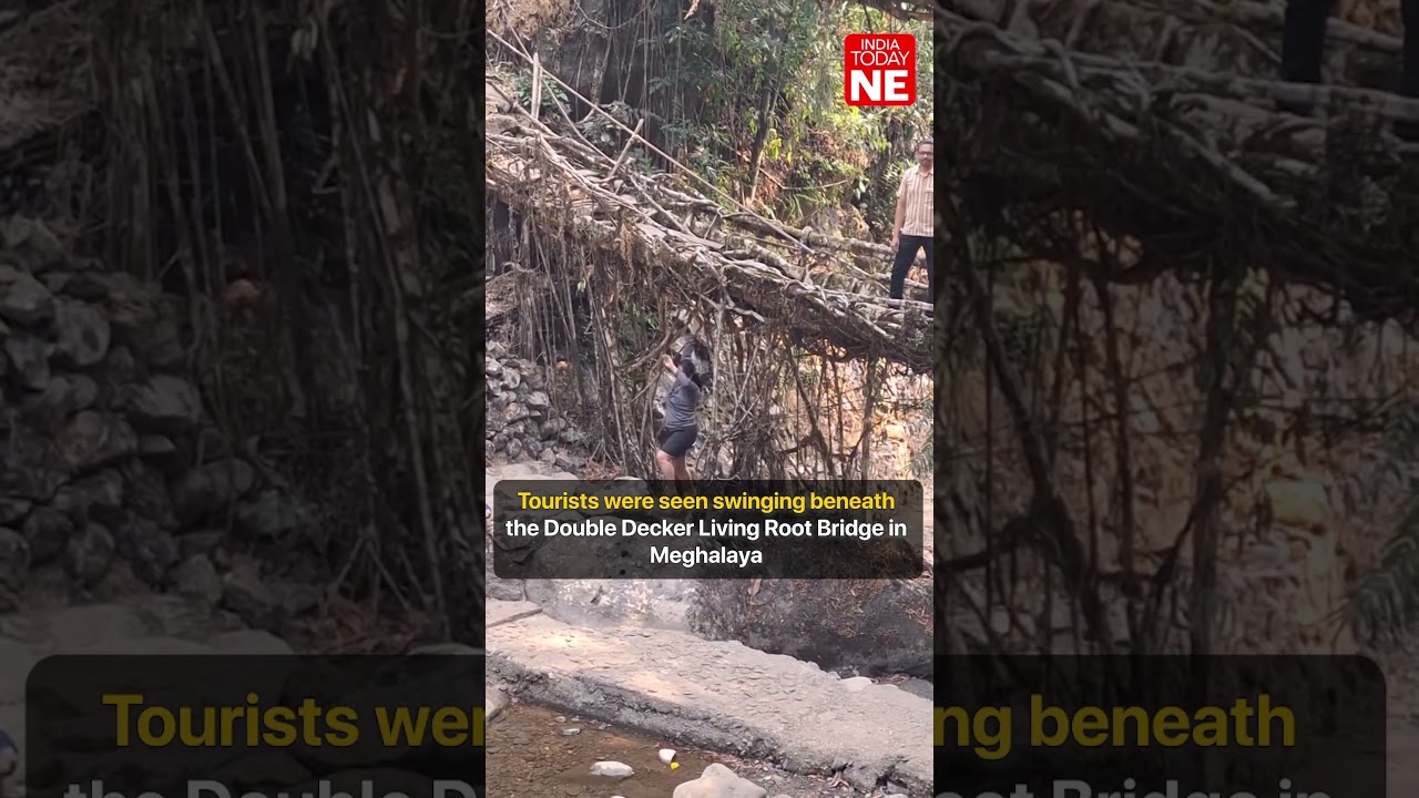 Tourists Swing From Meghalaya&rsquo;s Double Decker Living Root Bridge, Raising Alarm Over Safety