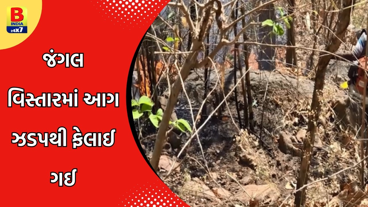 છોટાઉદેપુર જિલ્લામાં ઢોલીયા ડુંગર ઉપર ભીષણ આગ #bindia