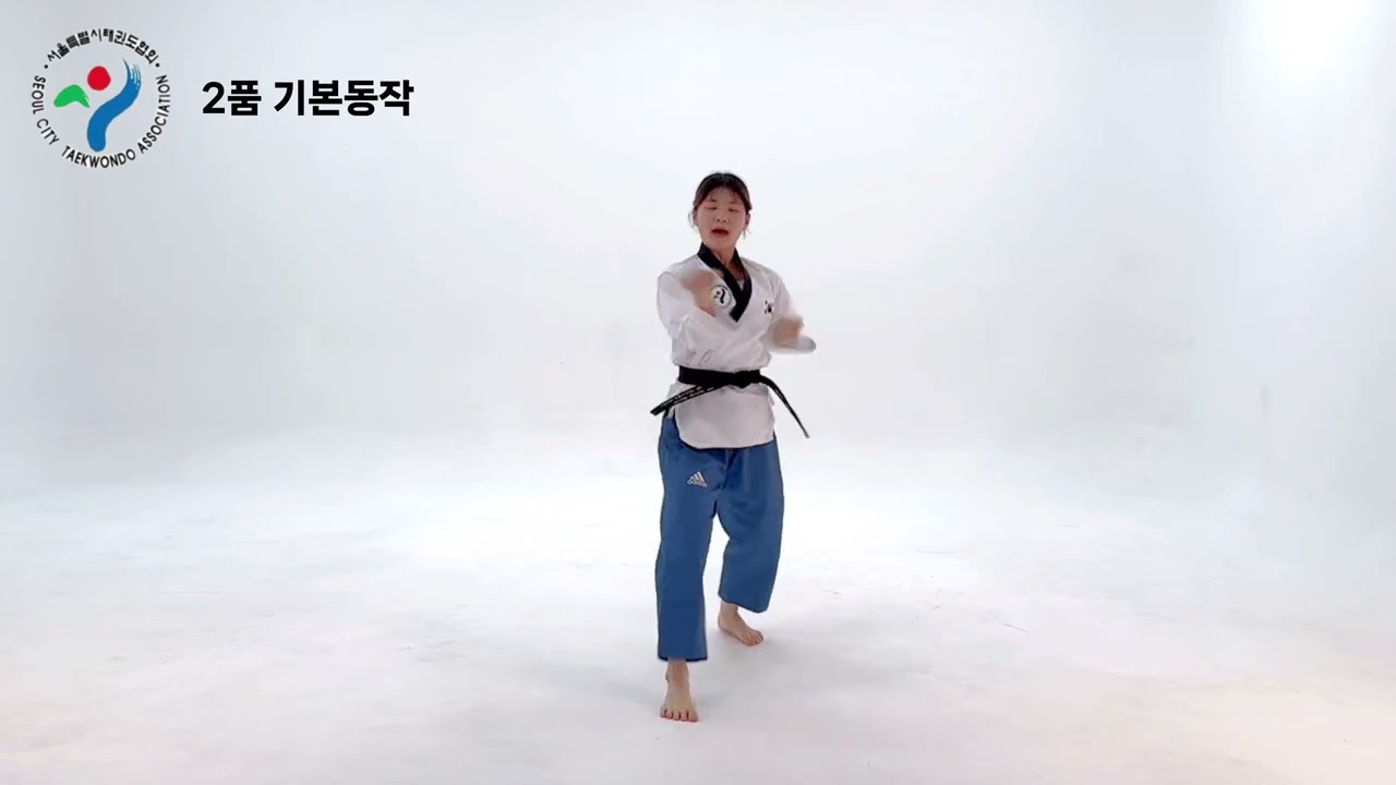 2품 기본동작 및 발차기