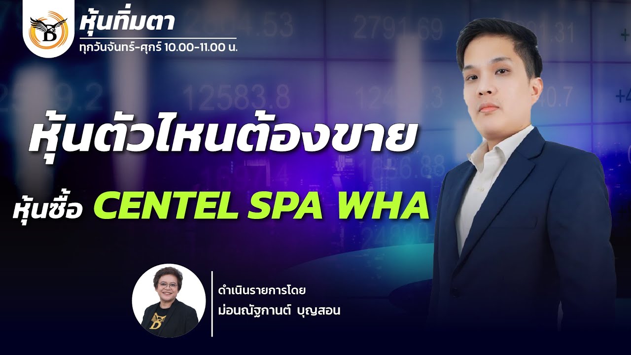 หุ้นทิ่มตา 