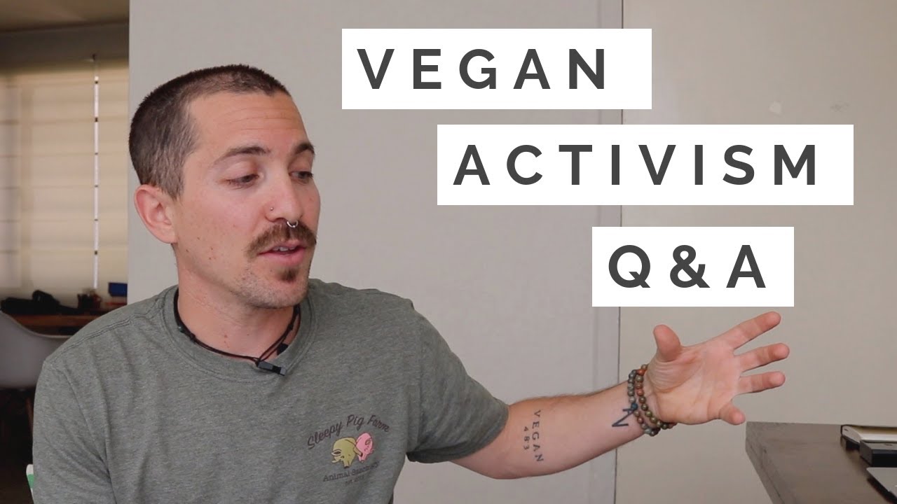How to start & what to do | Vegan activism Q&A