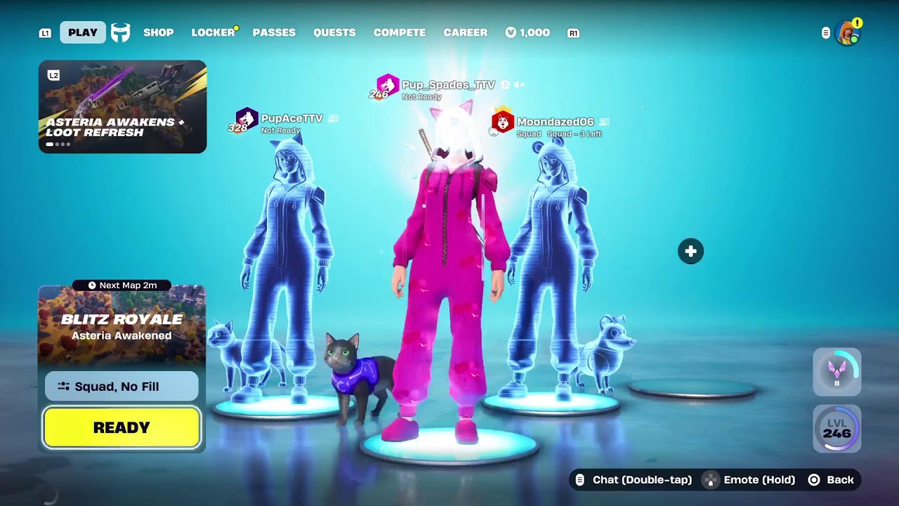 Pup Trio stream