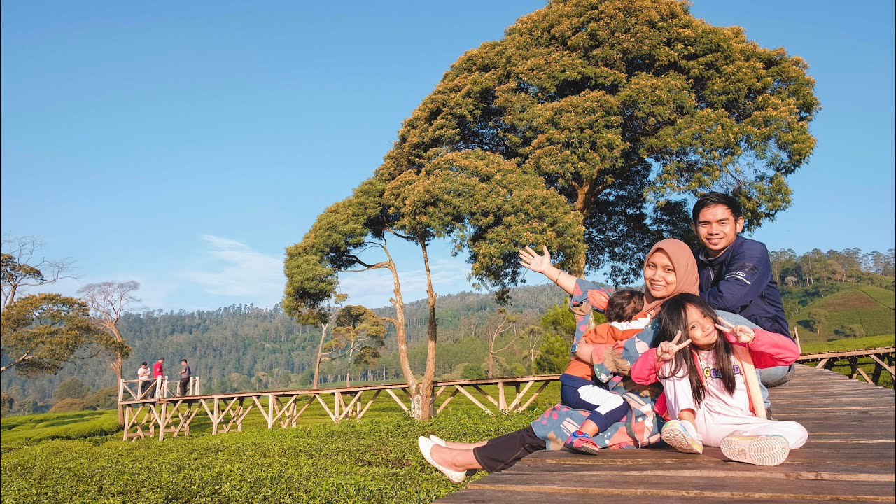 Nuansa Riung Gunung, glamping di kebun teh Bandung yang instagramable