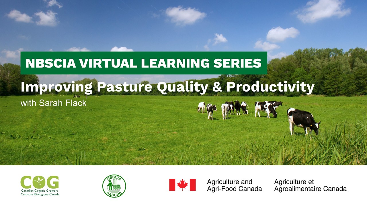 BMPs: A Virtual Learning Series - Improving Pasture Quality & Productivity with Sarah Flack