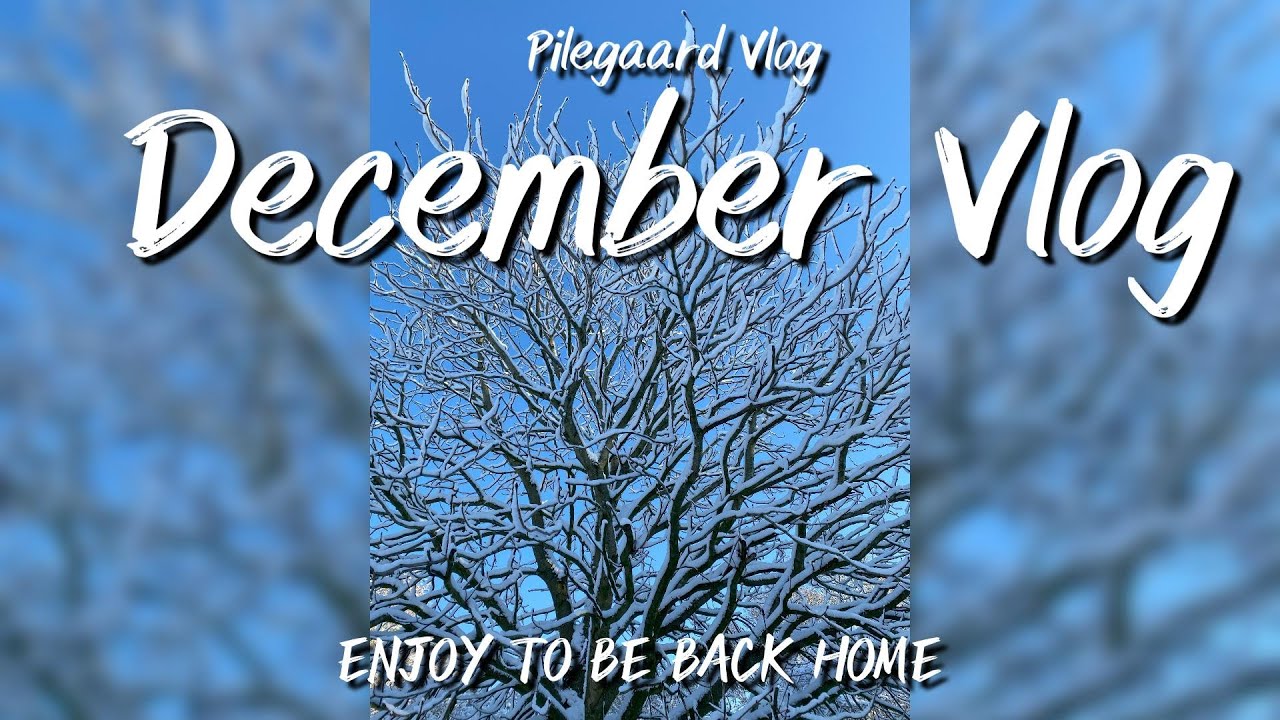 Vlog #11 - December Vlog #vlog #vlogathome #denmark