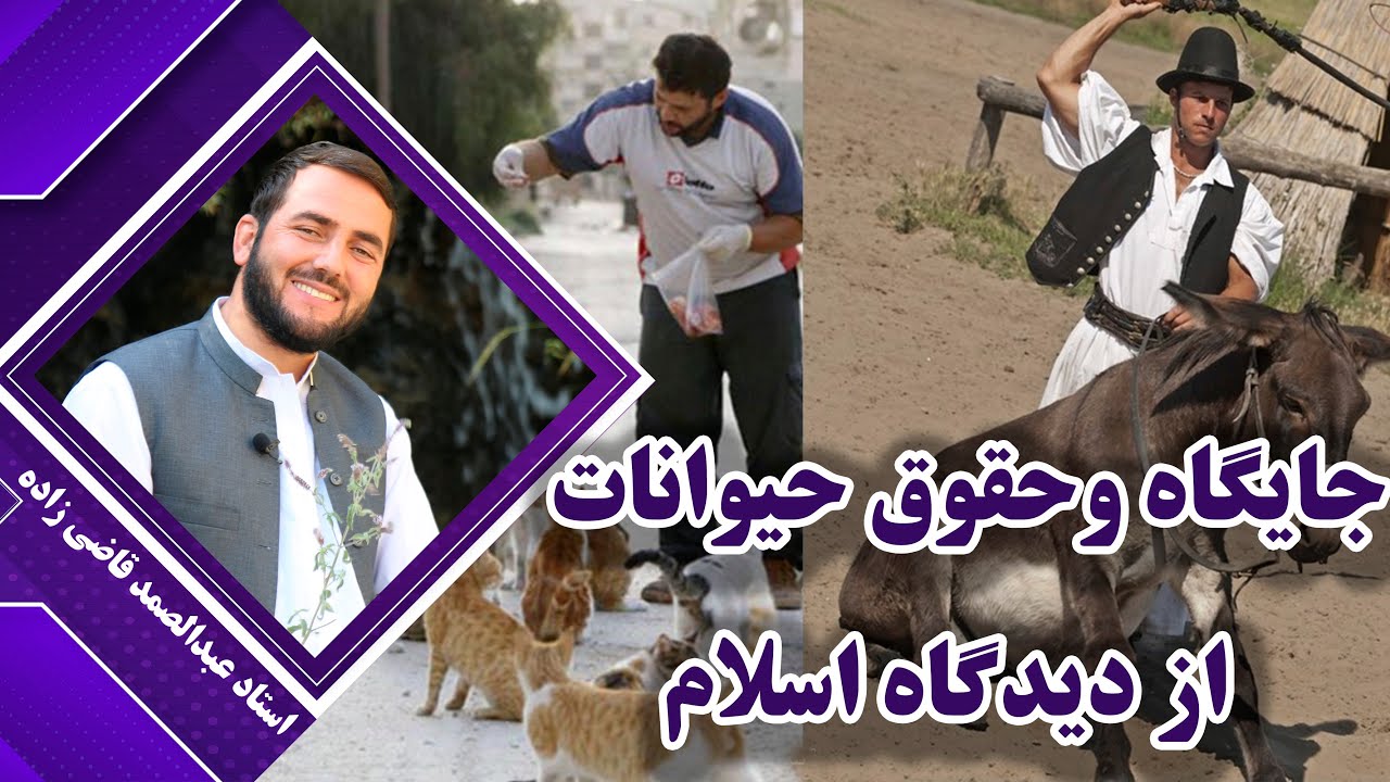 جایگاه و حقوق حیوانات از دیدگاه اسلام - استاد عبدالصمد قاضی زاده