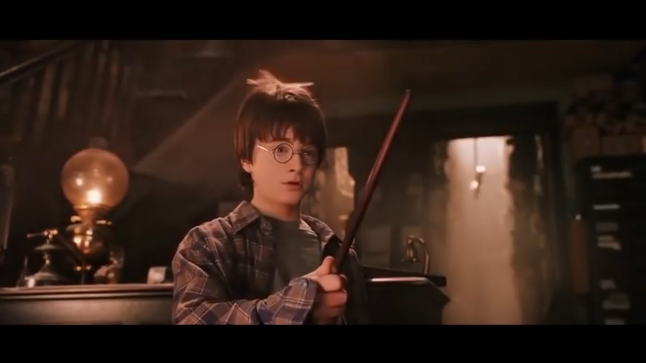 Harry potter felsefe taşı | asa se&ccedil;imi (t&uuml;rk&ccedil;e)