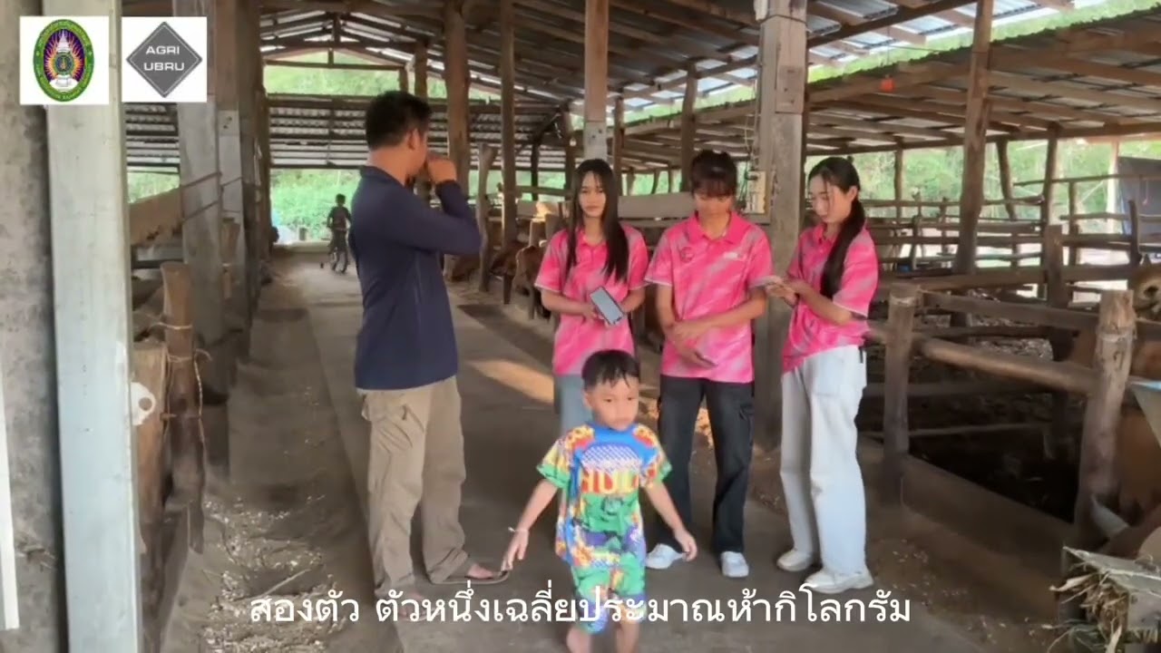 สัมภาษณ์คนเลี้ยงสัตว์ รายวิชาหลักการเลี้ยงสัตว์  มหาวิทยาลัยราชภัฏอุบลราชธานี