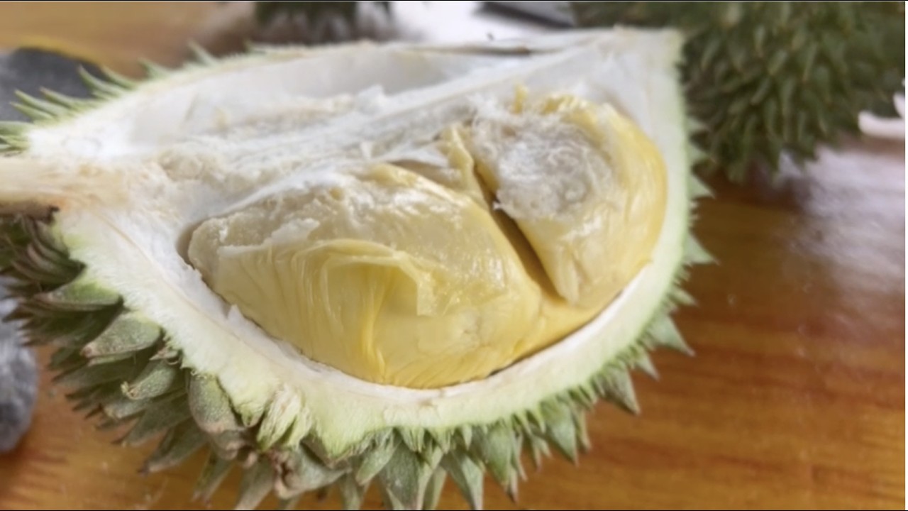 Pokok Durian berusia lebih 200 tahun Bunga Merah Kg Kapal (BMKK) - Bahagian 3