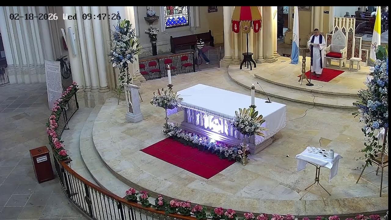 Transmisión Eucaristía Basílica de Lourdes   2024