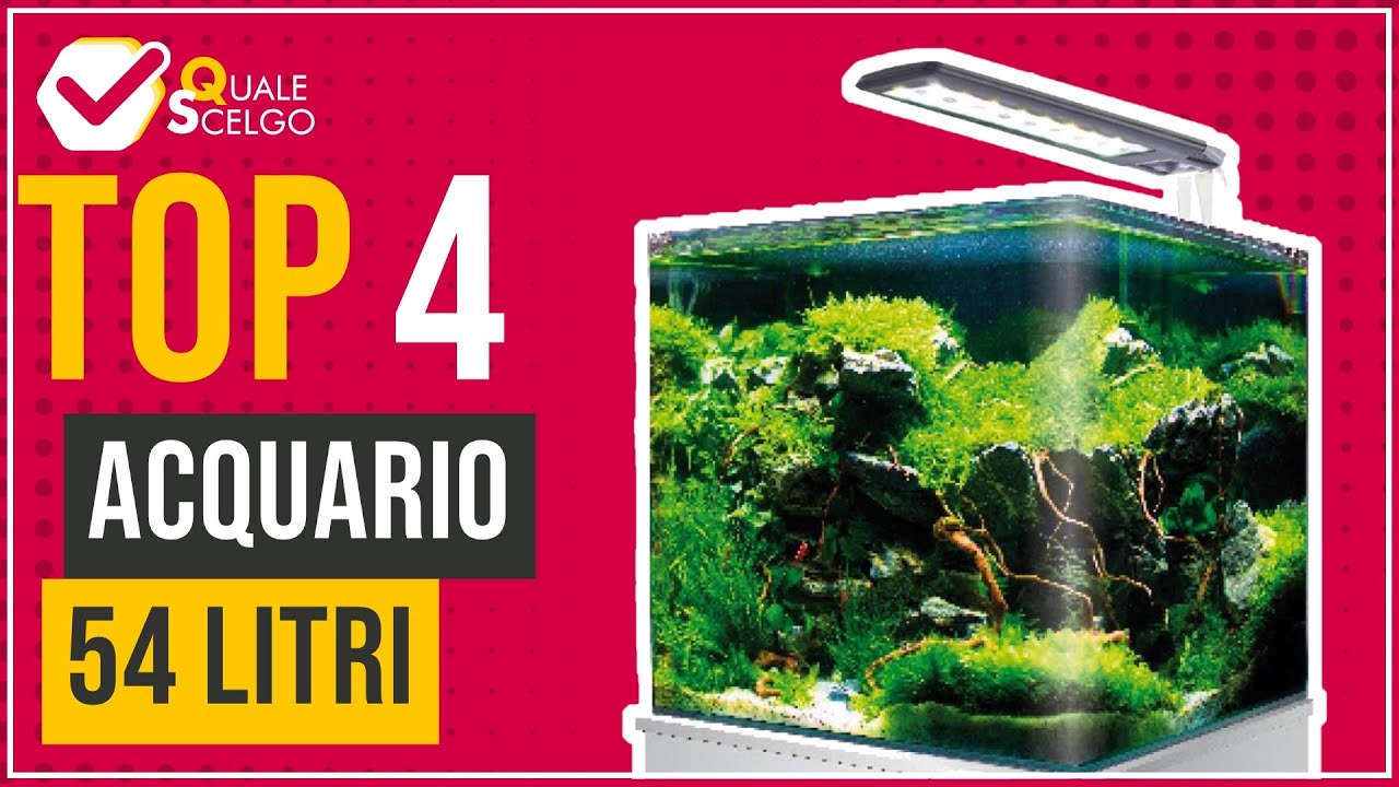 Acquario 54 litri - Top 4 - (QualeScelgo)