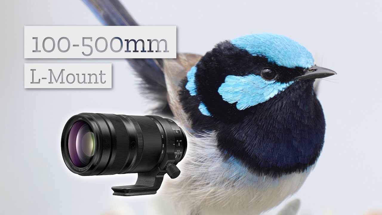 Телеобъектив 100–500 мм для крепления L от LUMIX