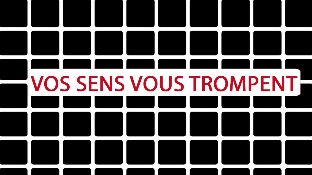 Vos sens vous trompent-ils ? - Science et Vie TV