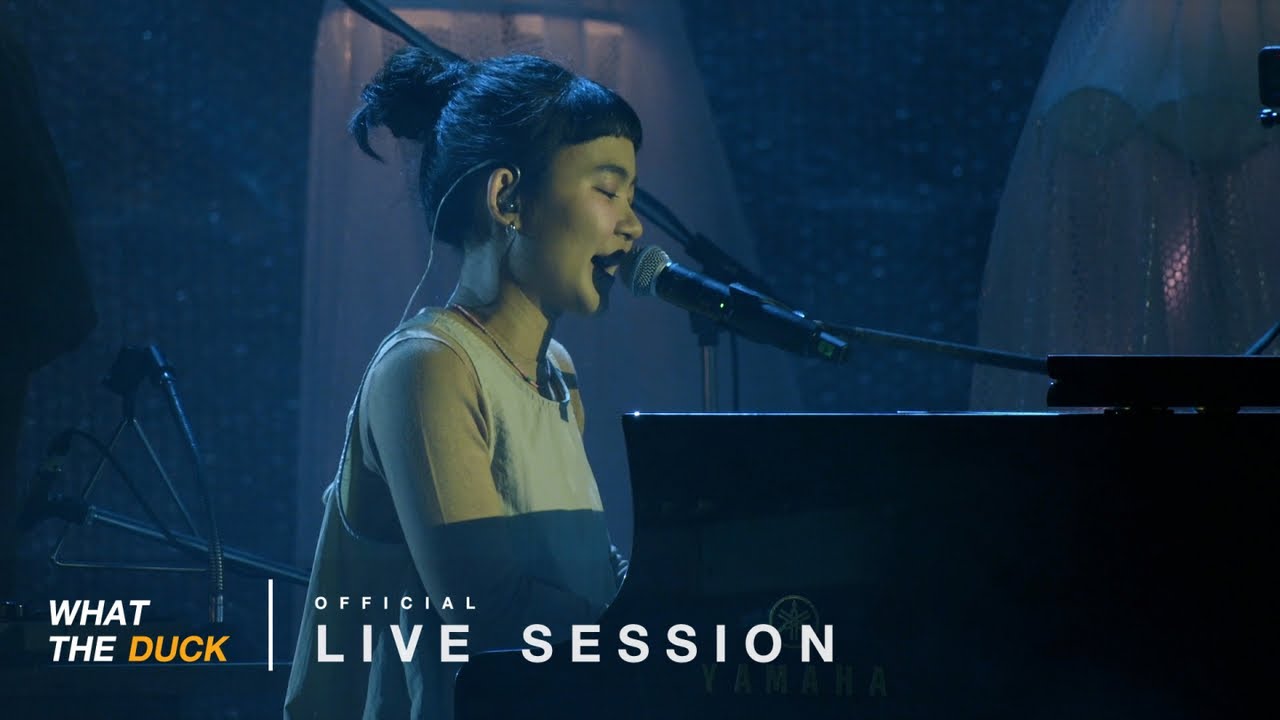 Plastic Plastic - Pillow Pillow (Live at Dear Friends Concert)
