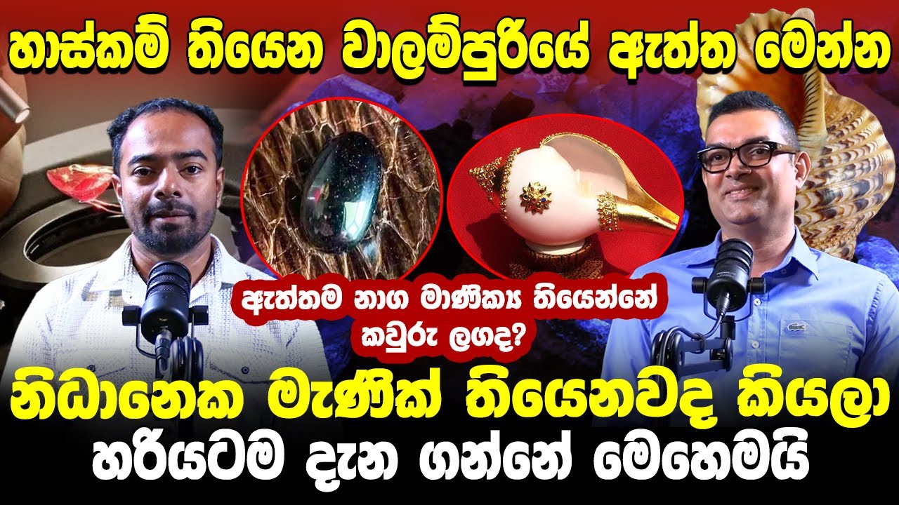 ඇත්තම නාග මාණික්‍ය තියෙන්නේ කවුරු ලගද?නිධානෙක මැණික් තියෙනවද කියලා හරියටම දැන ගන්නේ මෙහෙමයි.