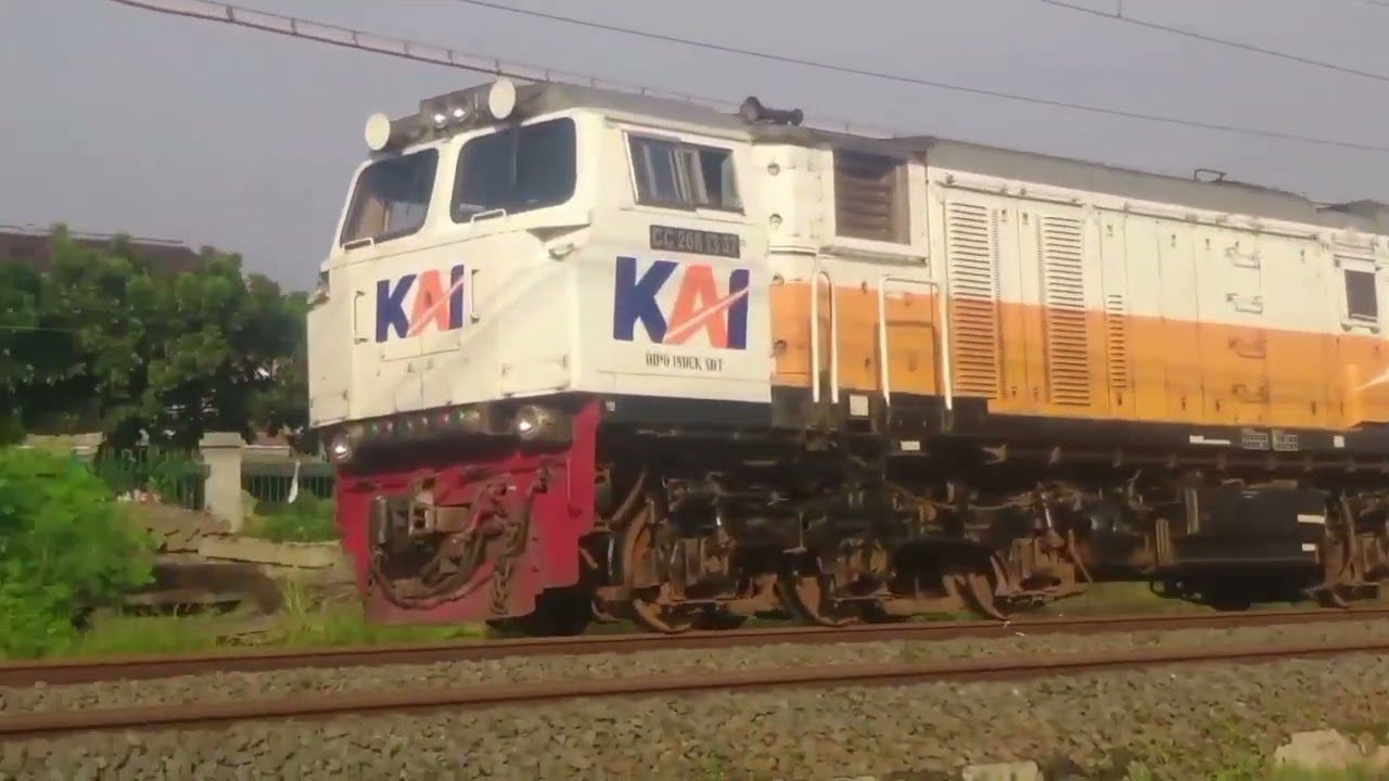 Kereta Api Barang Petikemas 