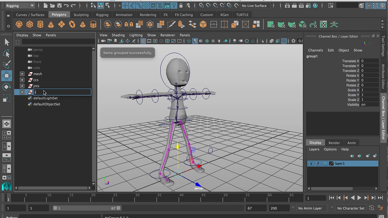 How to finish a rig by organizing the outliner