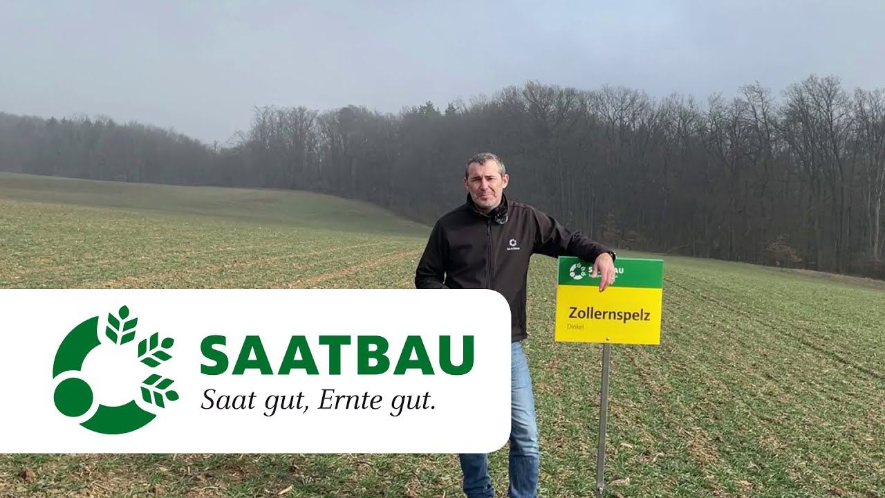 Winterdinkel Bestandesführung Februar 2021 | SAATBAU LINZ