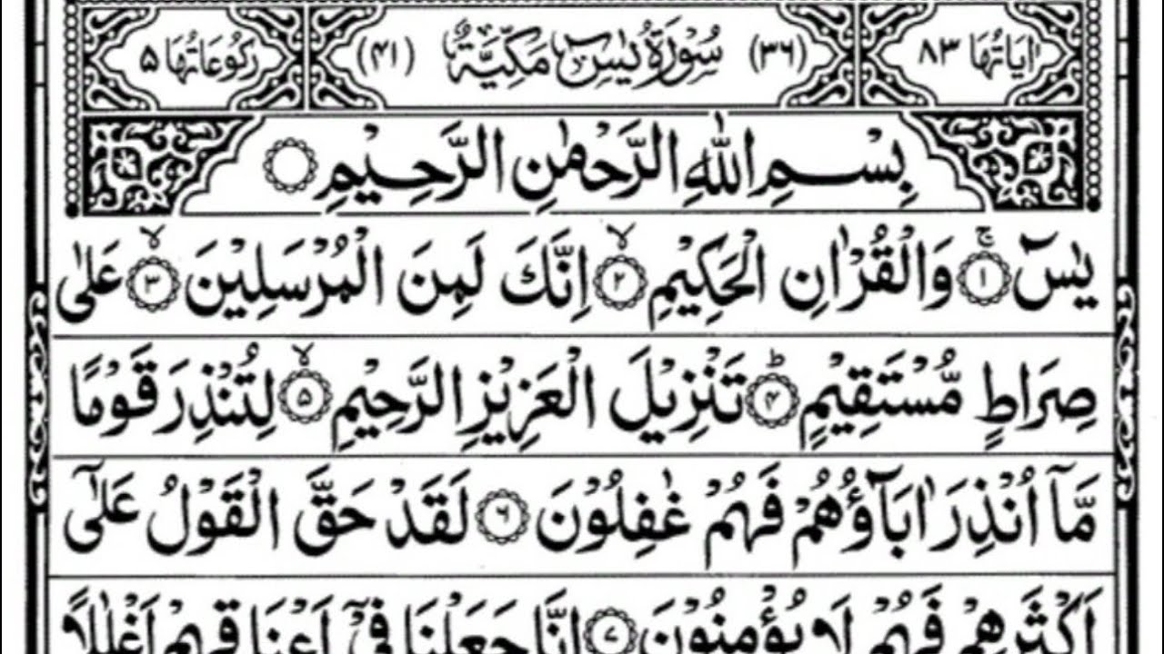 Surha Yasin 🌸-& Ar Rhman 🌸-& Al Mulke must beautiful Quran reaction #vairl #new #vidio #2026 