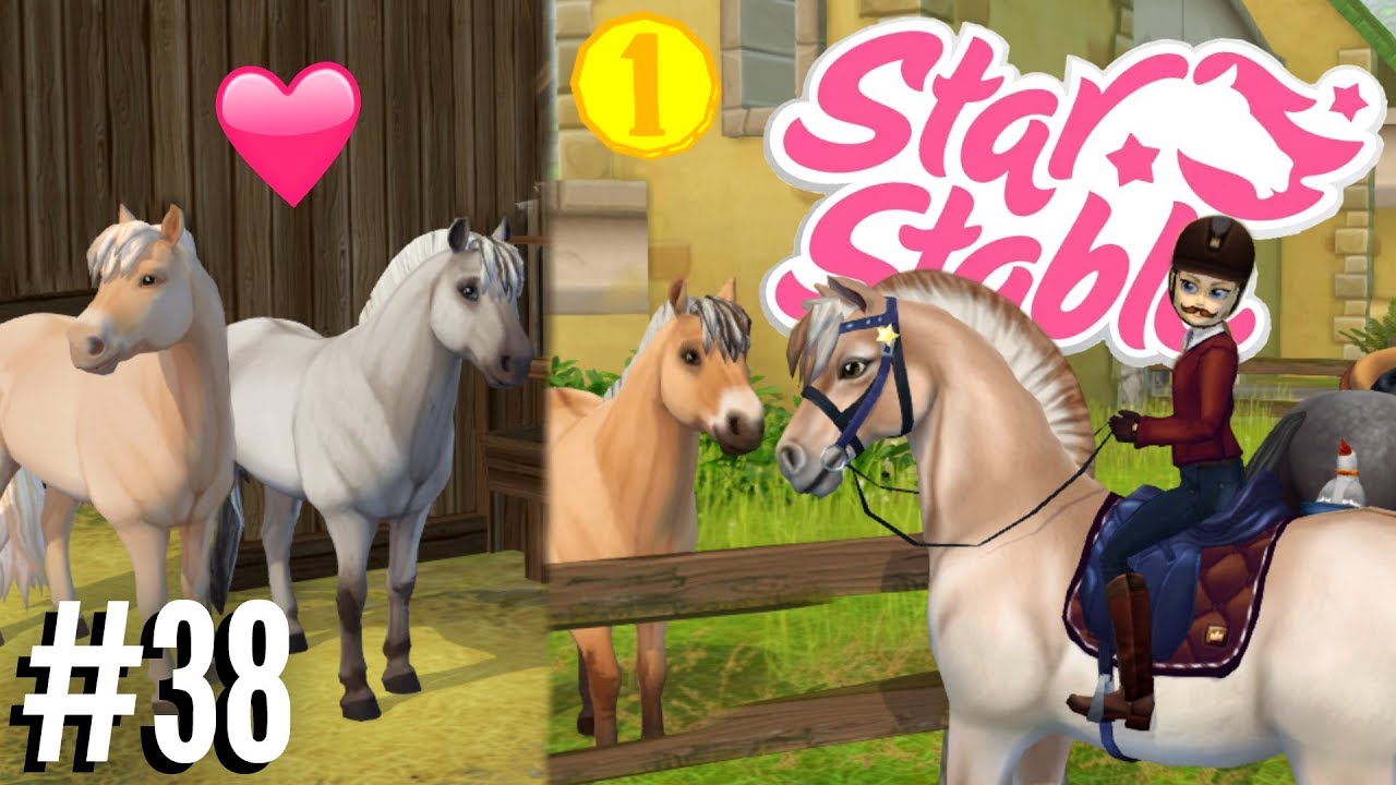 Welke NIEUWE FJORD ga ik KOPEN?! | Star Stable #38