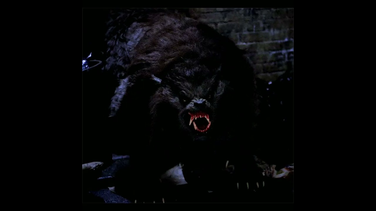 Coisas bizarras: ep - 2 lobisomens 