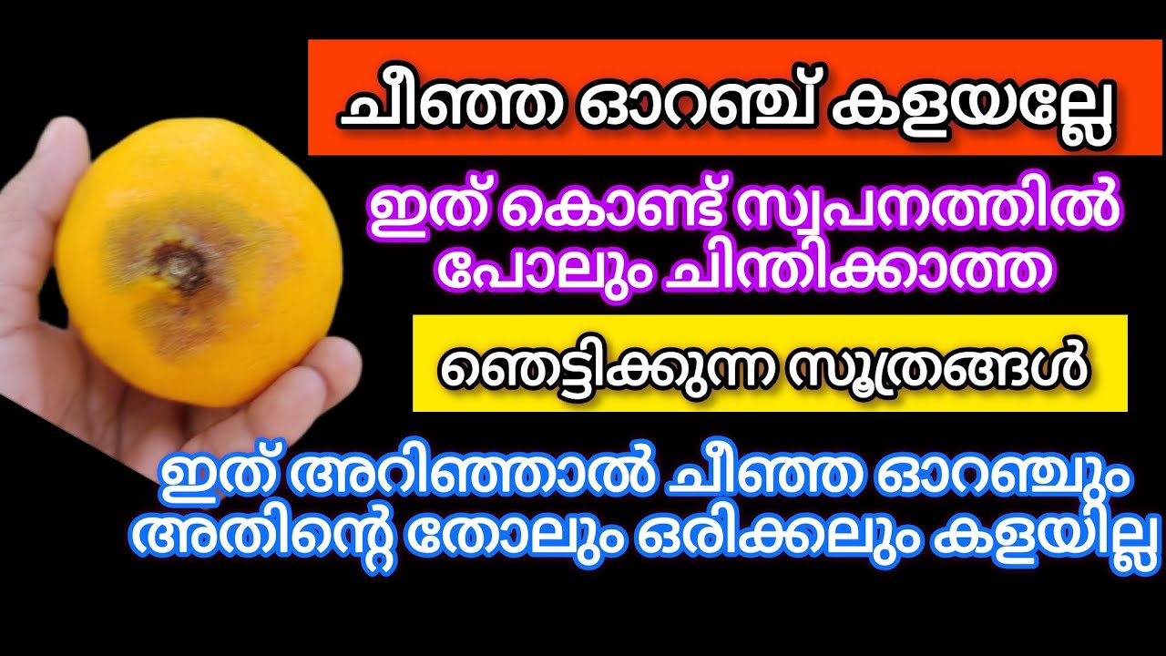 ചീഞ്ഞ ഓറഞ്ച് കളയല്ലേ ഇത് കൊണ്ട് മഹാഅത്ഭുതം കാണാതെ പോവല്ലേ /Kitchen Hacks