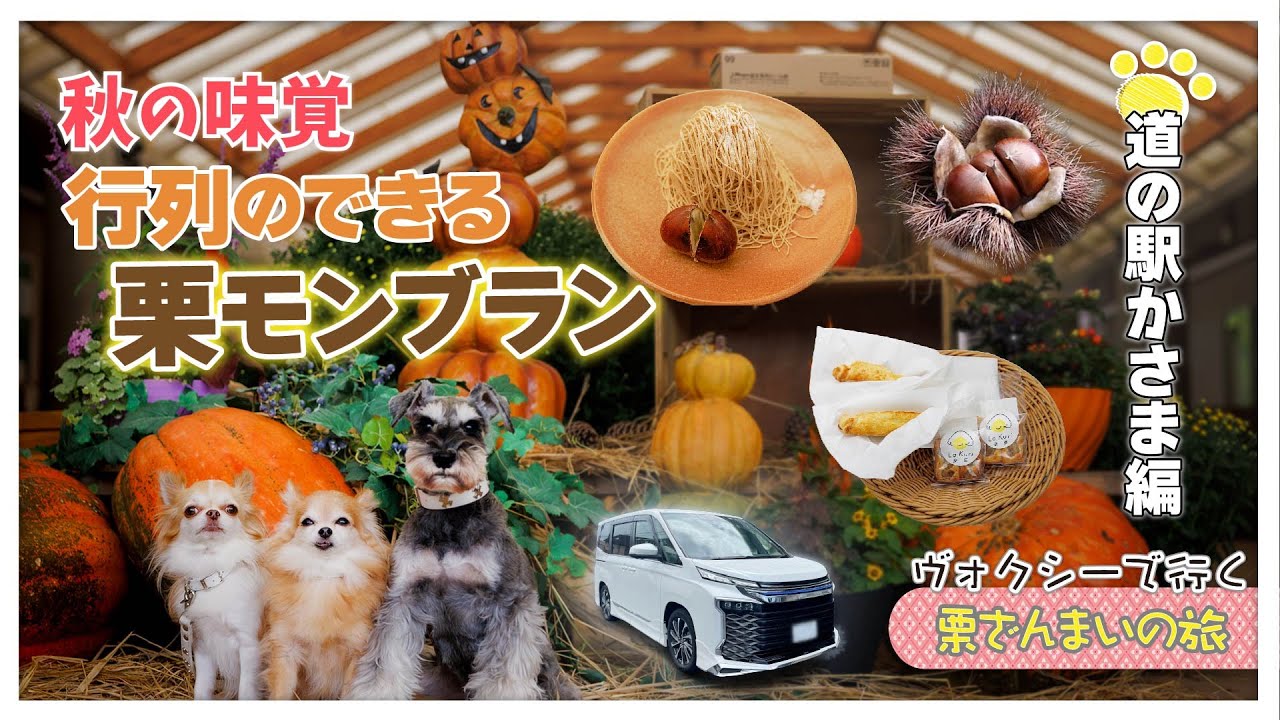 【栗ざんまいの旅・道の駅編】秋の味覚を求めて～絶品！行列のできる栗モンブランとは？！新型ヴォクシーでプチ旅行【茨城県笠間市・道の駅かさま】