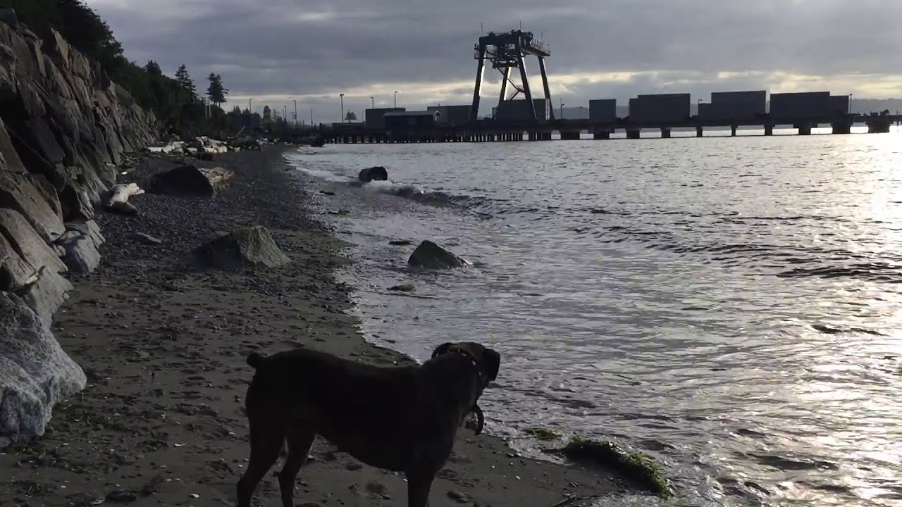 Beautiful & Serene Seattle ASMR Sounds 2