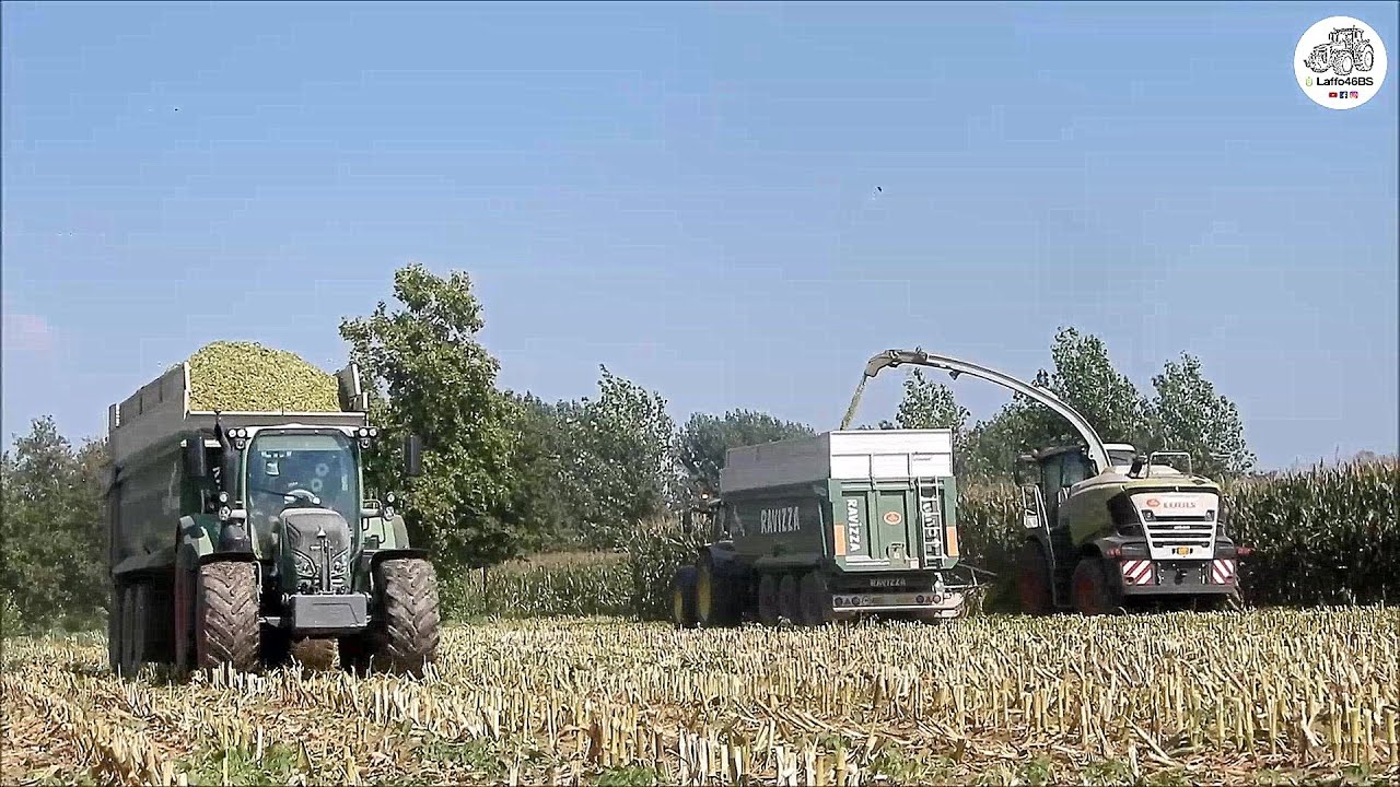 Claas Jaguar 980 Type 498 SHREDLAGE & 7 Ravizza trailers - Agromeccanica Agliardi - Corn silage 2020