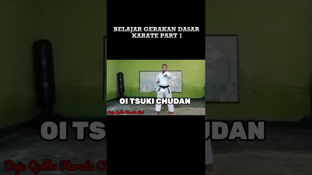OI TSUKI CHUDAN JODAN #karatepemula #belajarkarate #kihon