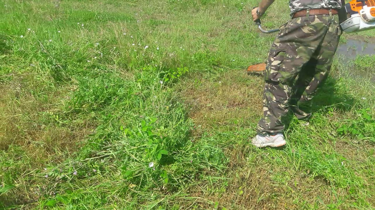 Motocoasa STIHL fs 240 si prietenul supărat pe ea.