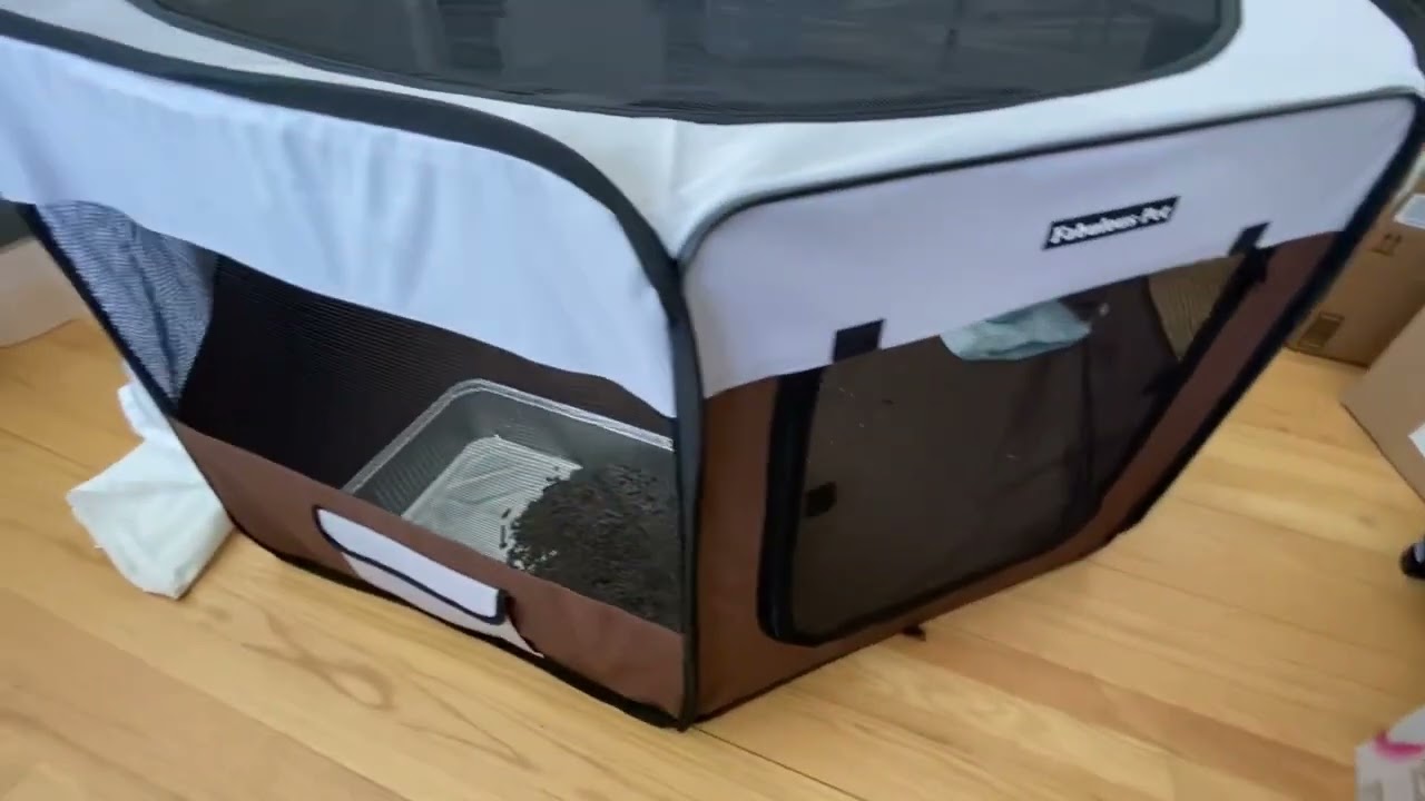 Setting up the playpen (also great for introducing cats to each other)