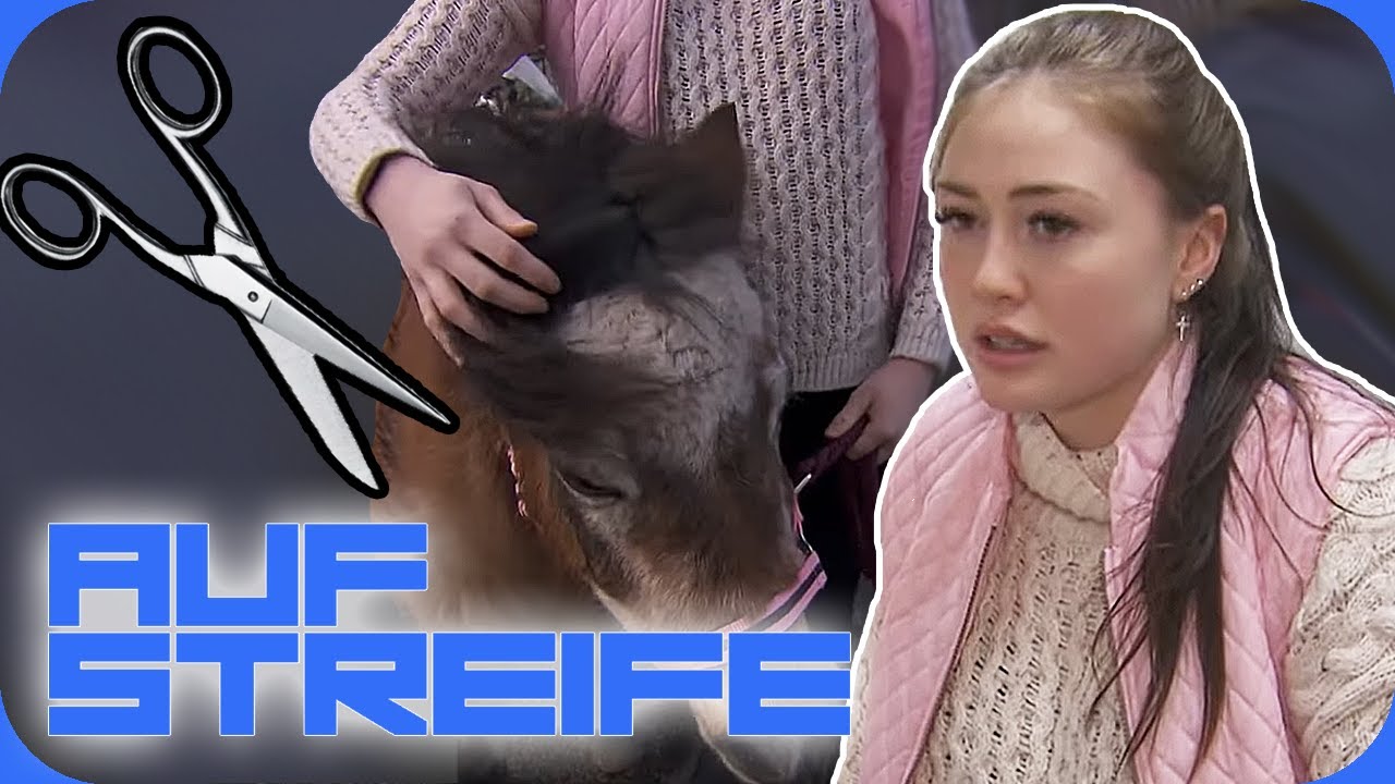 “Wer hat mein Pony verschnitten?” Reiterin ist sich sicher: Das ist Sabotage! | Auf Streife | SAT.1