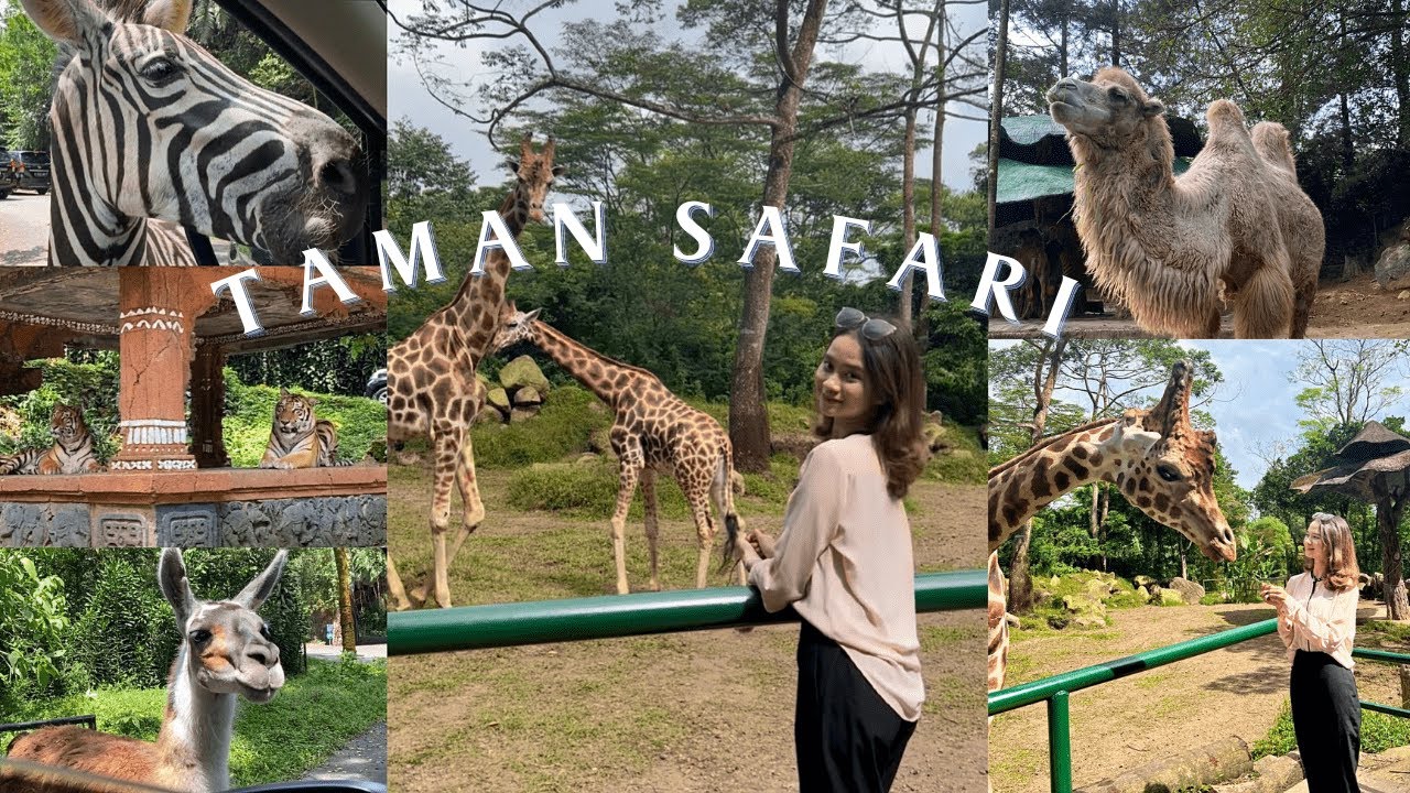 A Day in My Life: Going to Taman Safari