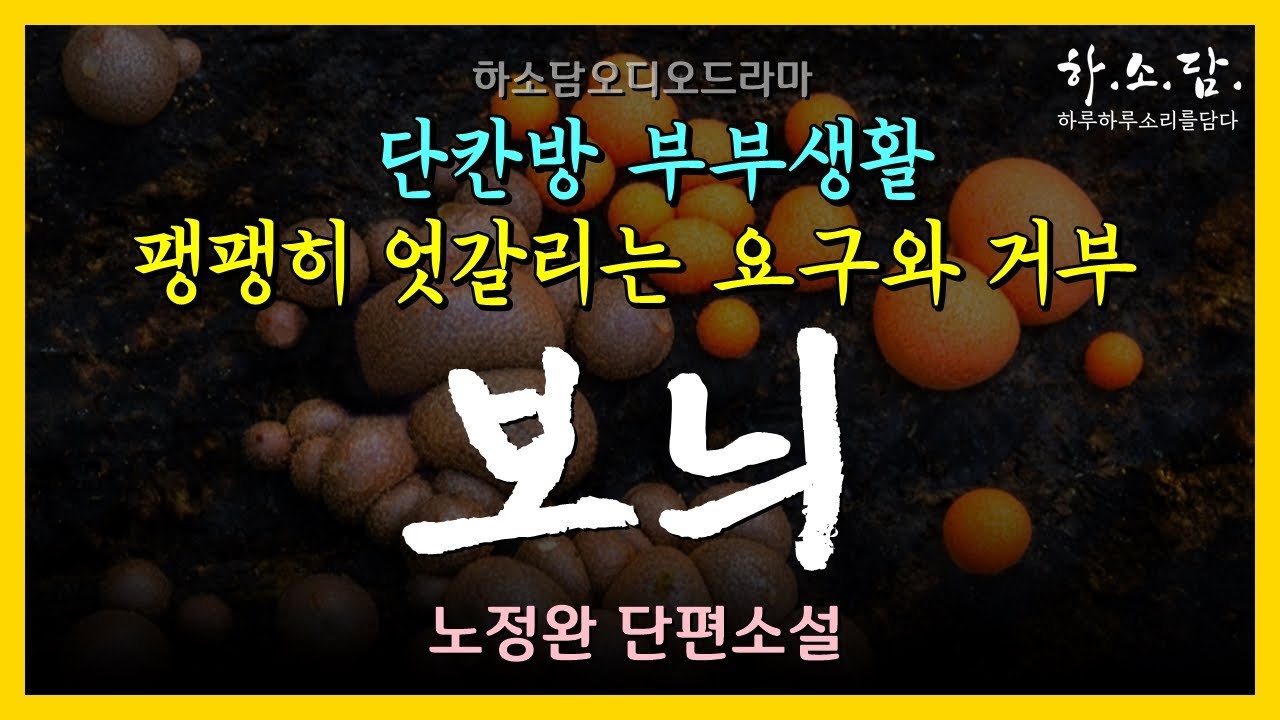 요구하는 남편과 거부하는 아내의 팽팽한 엇갈림 속에 단칸방 부부생활은 파행으로 치닫는다.  [ 보늬 - 노정완 단편소설] #하소담오디오드라마 | 책읽어주는여자 하소담 소설 오디오북