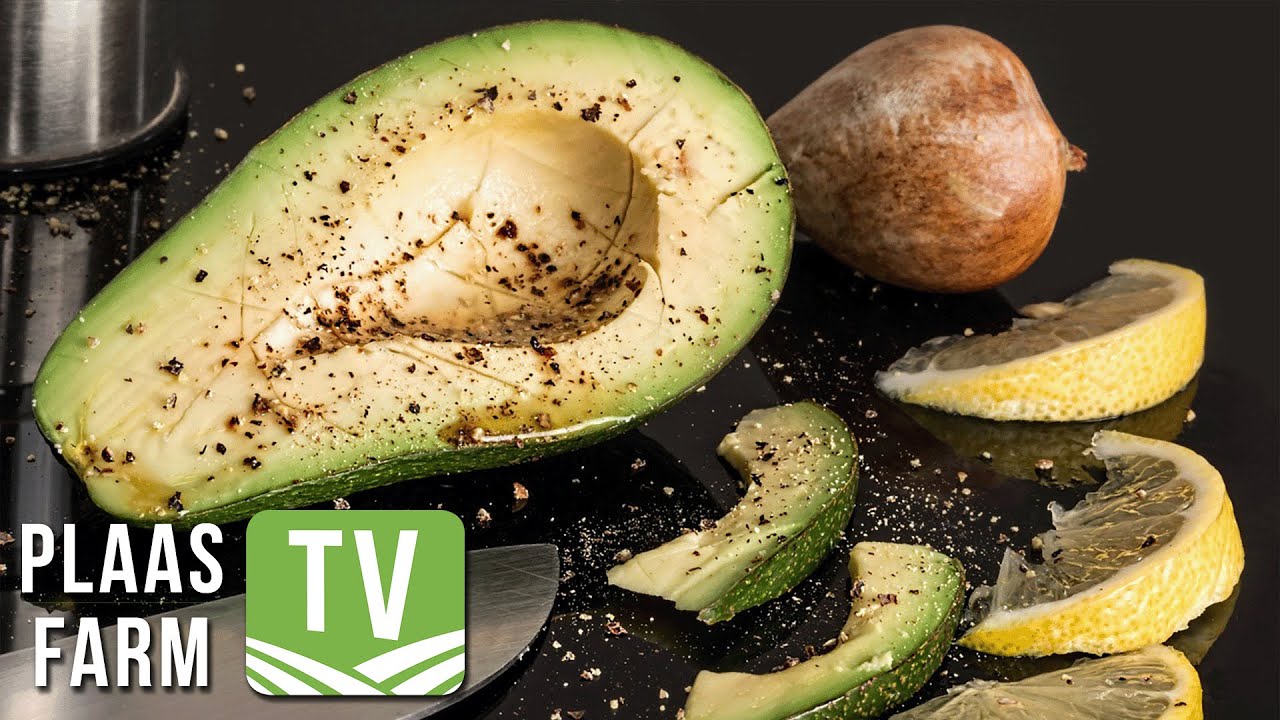 June is World Avocado Month