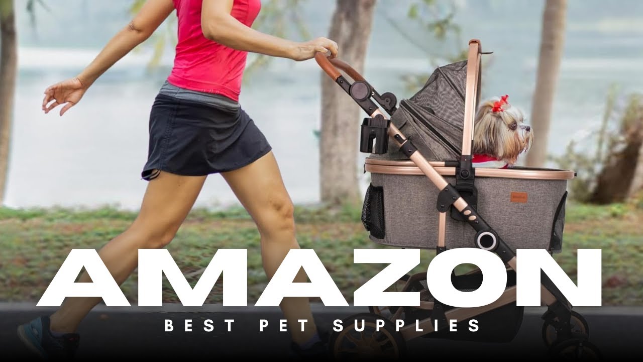3-in-1 Luxury Pet Stroller Review 🛒 Detachable Carrier & Car Seat for Dogs 🐕‍🦺