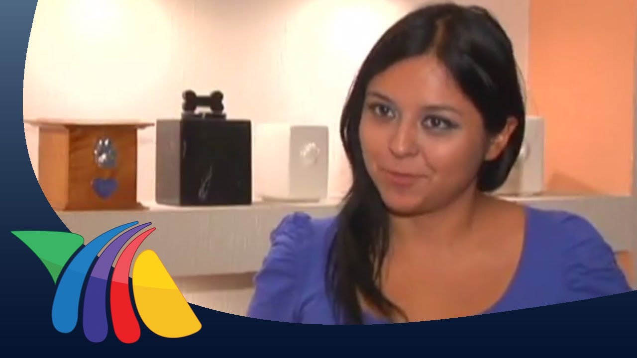 Crematorio para mascotas, negocio especial