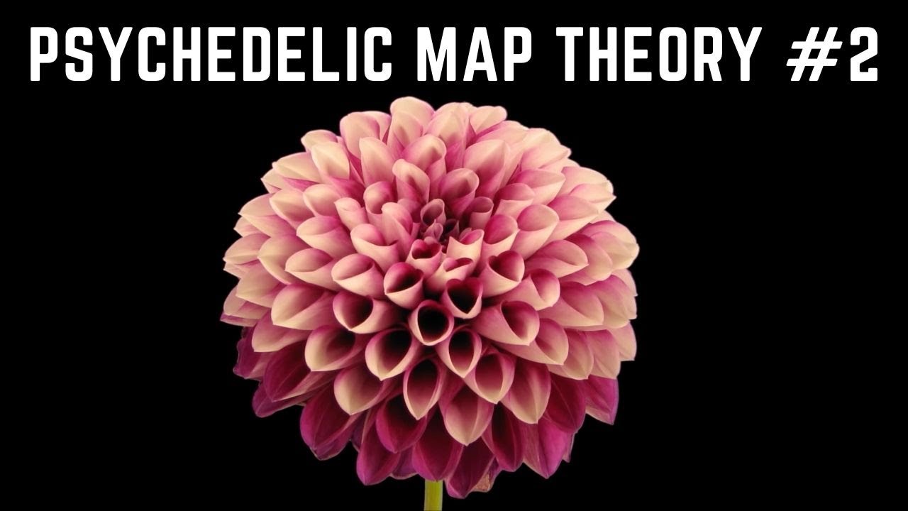 Psychedelic Map Theory #2 | Why Do We See Moving Geometry?
