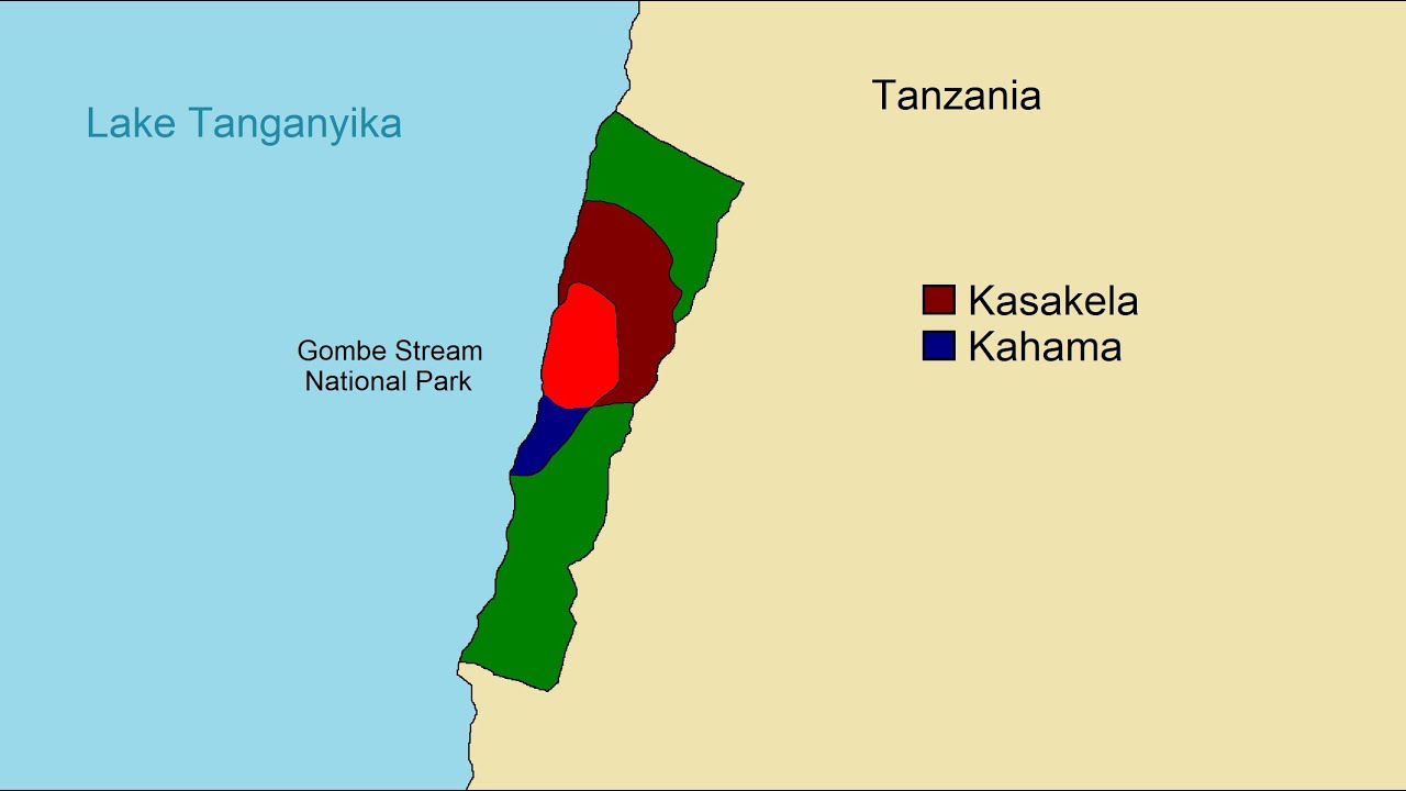 The Gombe Chimpanzee War 1974-1978