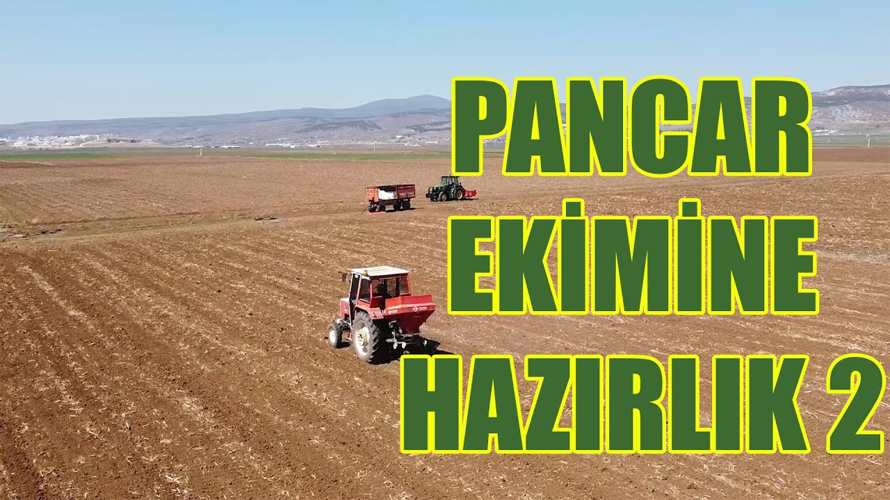 PANCAR TARLASINA GÜBRE SAÇIYORUZ | PANCAR YERİ HAZIRLAMA PART 2