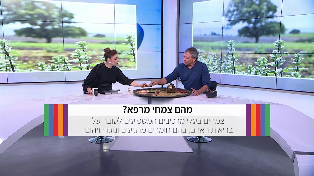 רק בריאות 2 עם ד"ר ולפיש: צמחי מרפא להתמודדות עם הפרעת קשב וריכוז