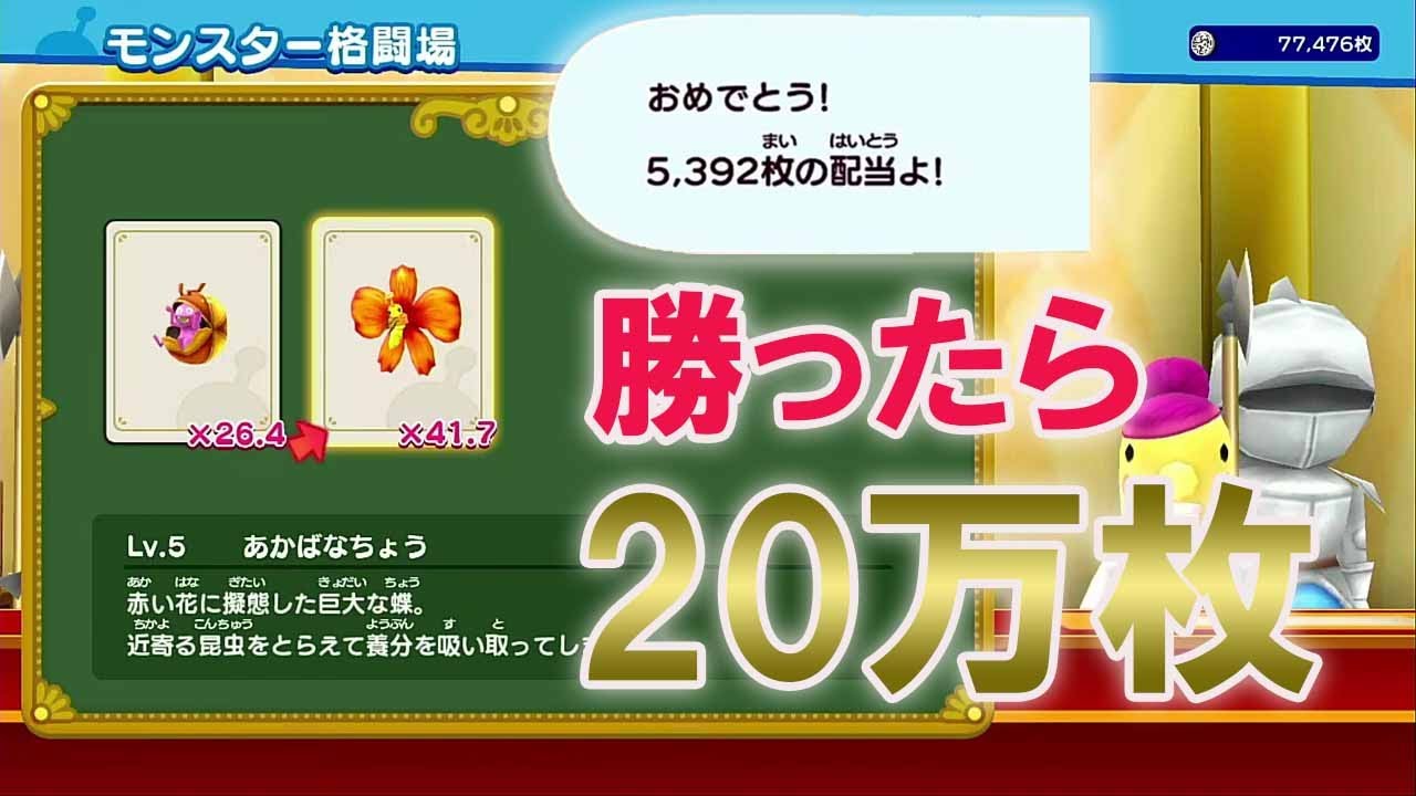 【格闘場】5000枚オールイン中にあかばなちょう引いたwwwwww【カジノ】【New 電波人間のRPG FREE!】