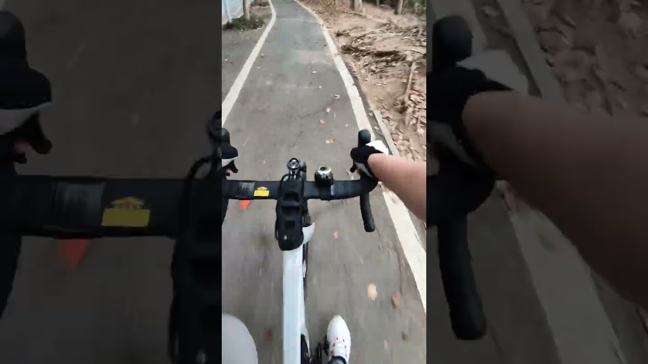 VID 20260212 081815