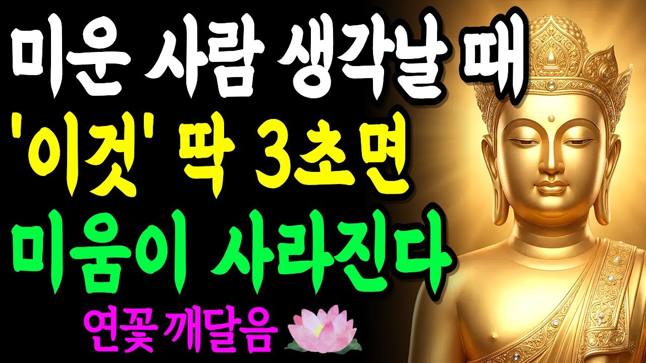 미운 사람 생각날 때 '이것' 3초만 하면 석 달 미움도 한 달에 사라집니다 | 부처님 말씀 | 석가모니 | 불교명언 | 불교오디오북