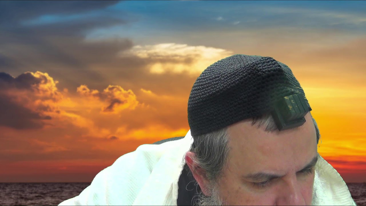 הלכה יומית והנהגות הילולת הצדיקים י שבט התשפו הרש